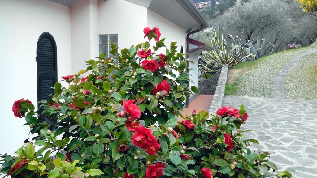 Villa Il Pettirosso La Spezia Habitación foto